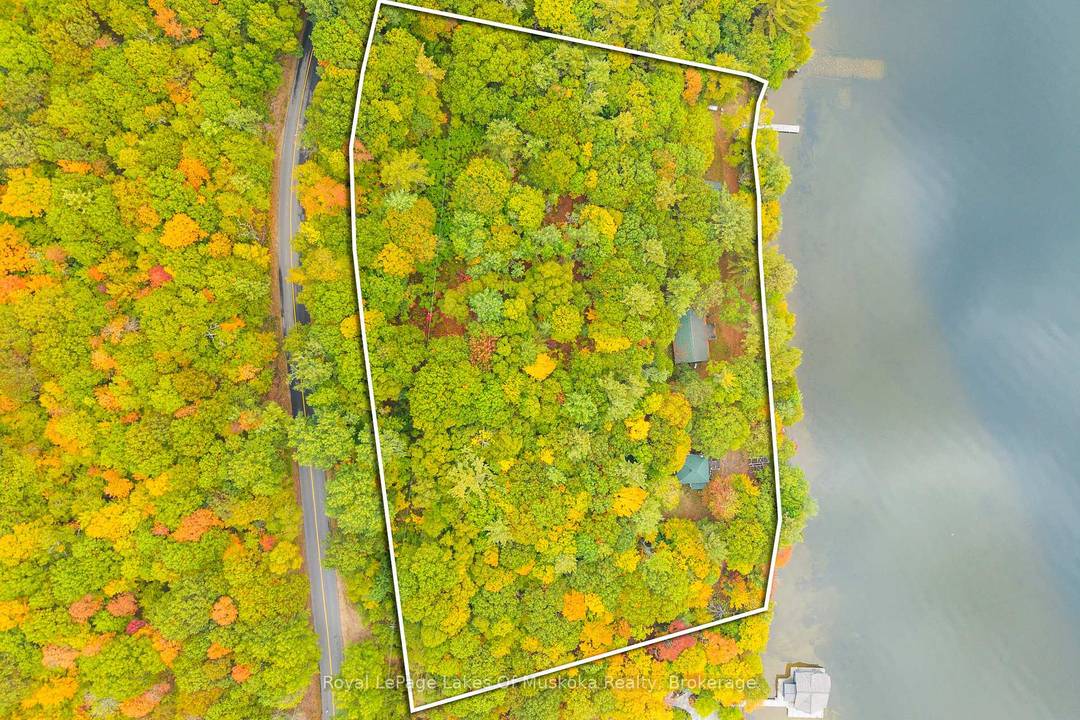 Lake of Bays First Time Offered !