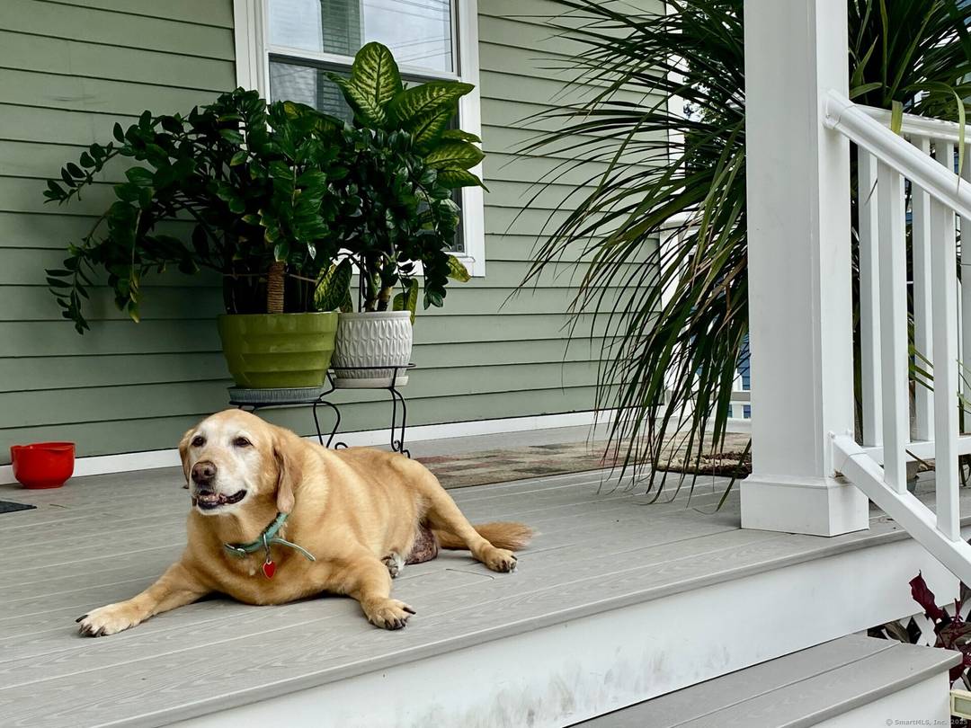 WELCOME TO 93 SHELTON AVENUE WHERE CLASIC CHARM MEETS MODERN LIVING !