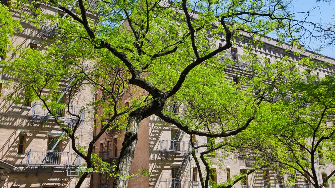 Welcome home to one of the more artfully renovated homes in the F line at the Royal York, this spacious, elegantly appointed gem overlooks one of the prettier blocks in ...