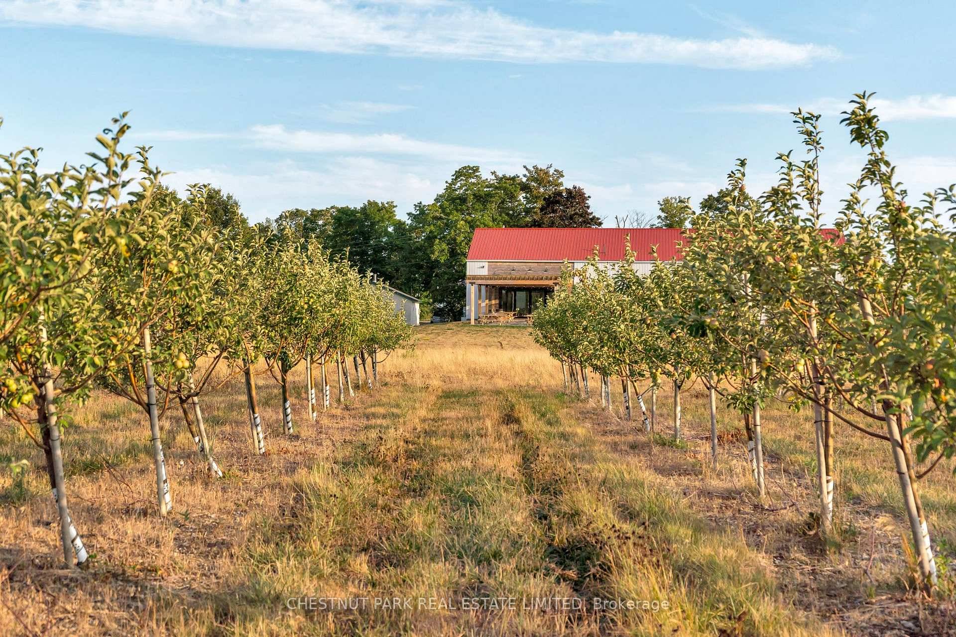 Loch Mo r Cider Company is a thriving, award winning cidery nestled on the picturesque Danforth Ridge in Hillier, one of Prince Edward Countys renowned wine and cider regions.