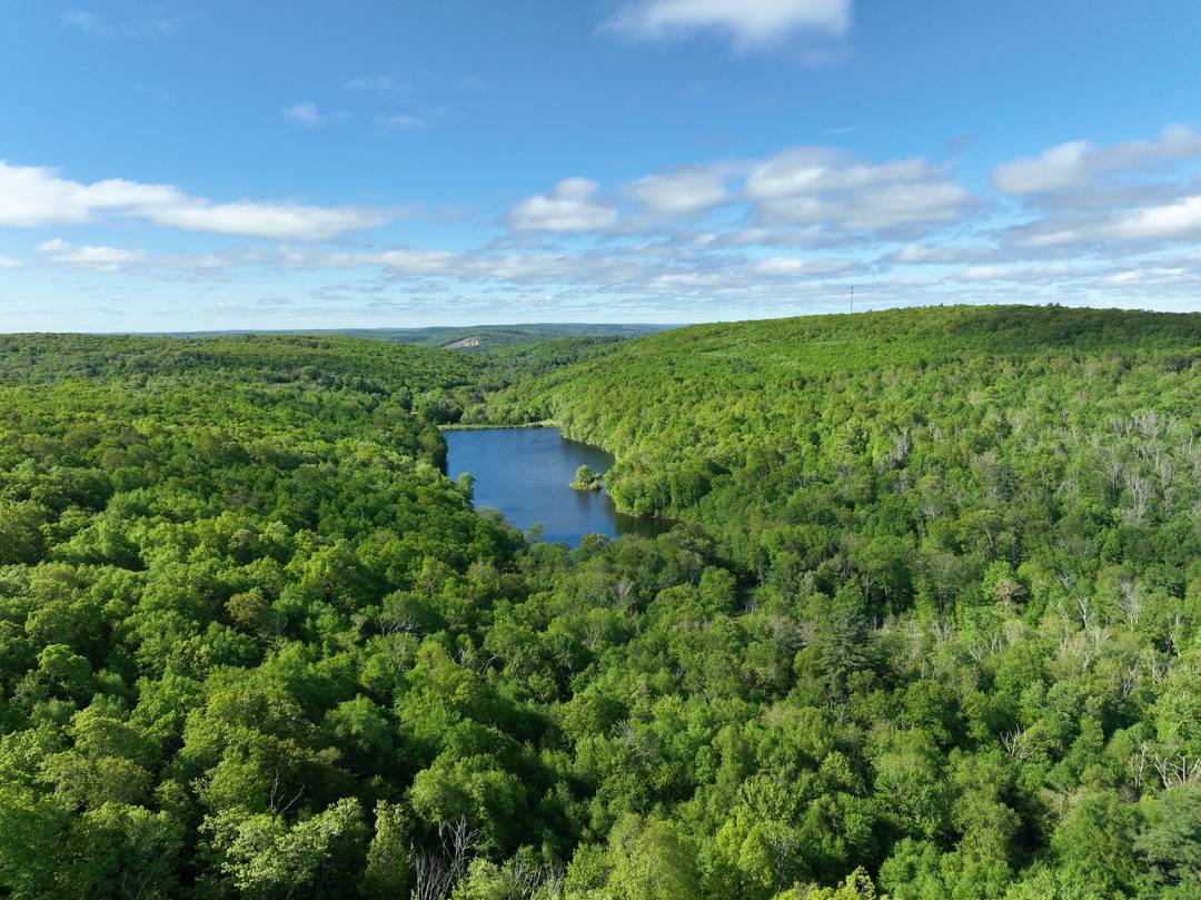 SPECTACULAR 353 ACRES WITH 25 ACRE LAKE !