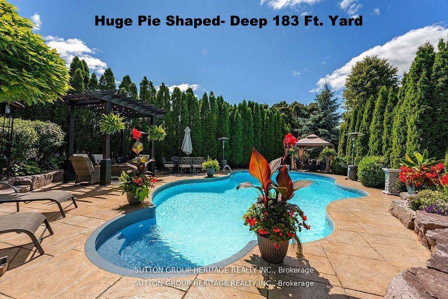 This one will Excite you !