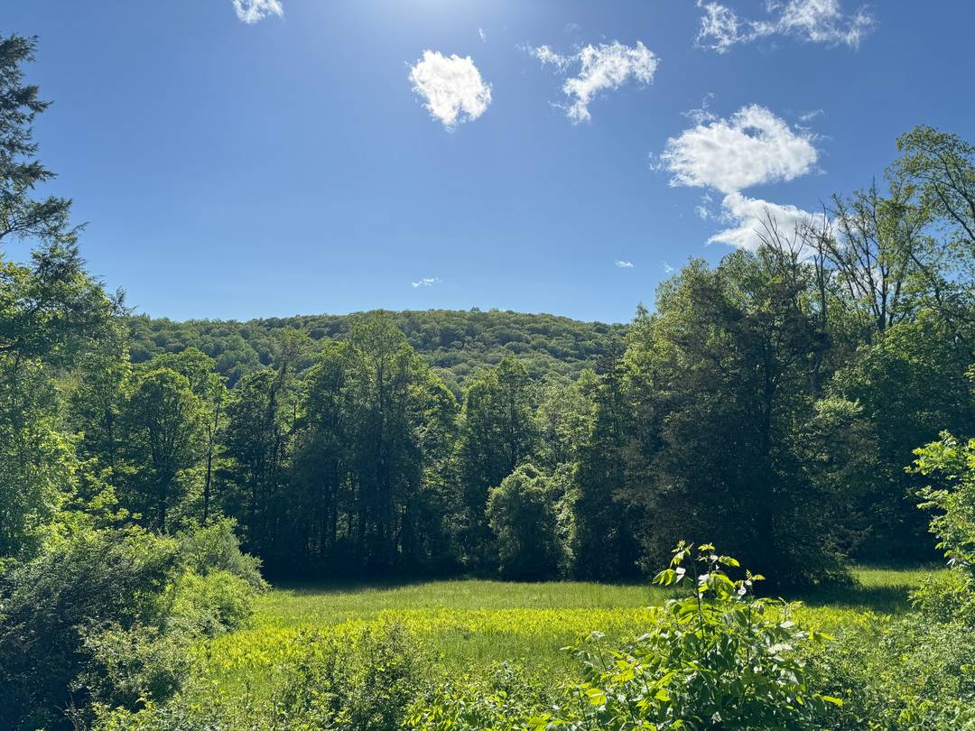 Discover an exceptional opportunity to own a substantial 24 acre parcel that presents a multitude of possibilities.