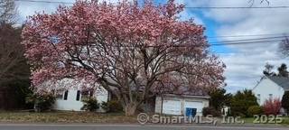 Ridge Road, yes, live on one of the best streets in town.