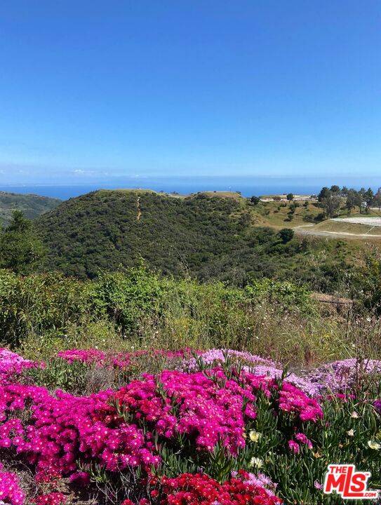 23208  W Paloma Blanca Dr Malibu La