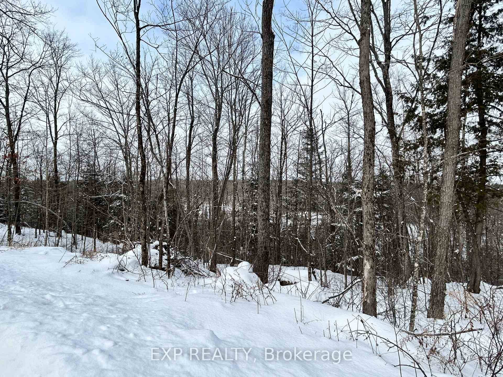 Beautiful 1. 275 Acre Rural Lot with Direct Madawaska River Access on Upper Spruce Hedge Road.
