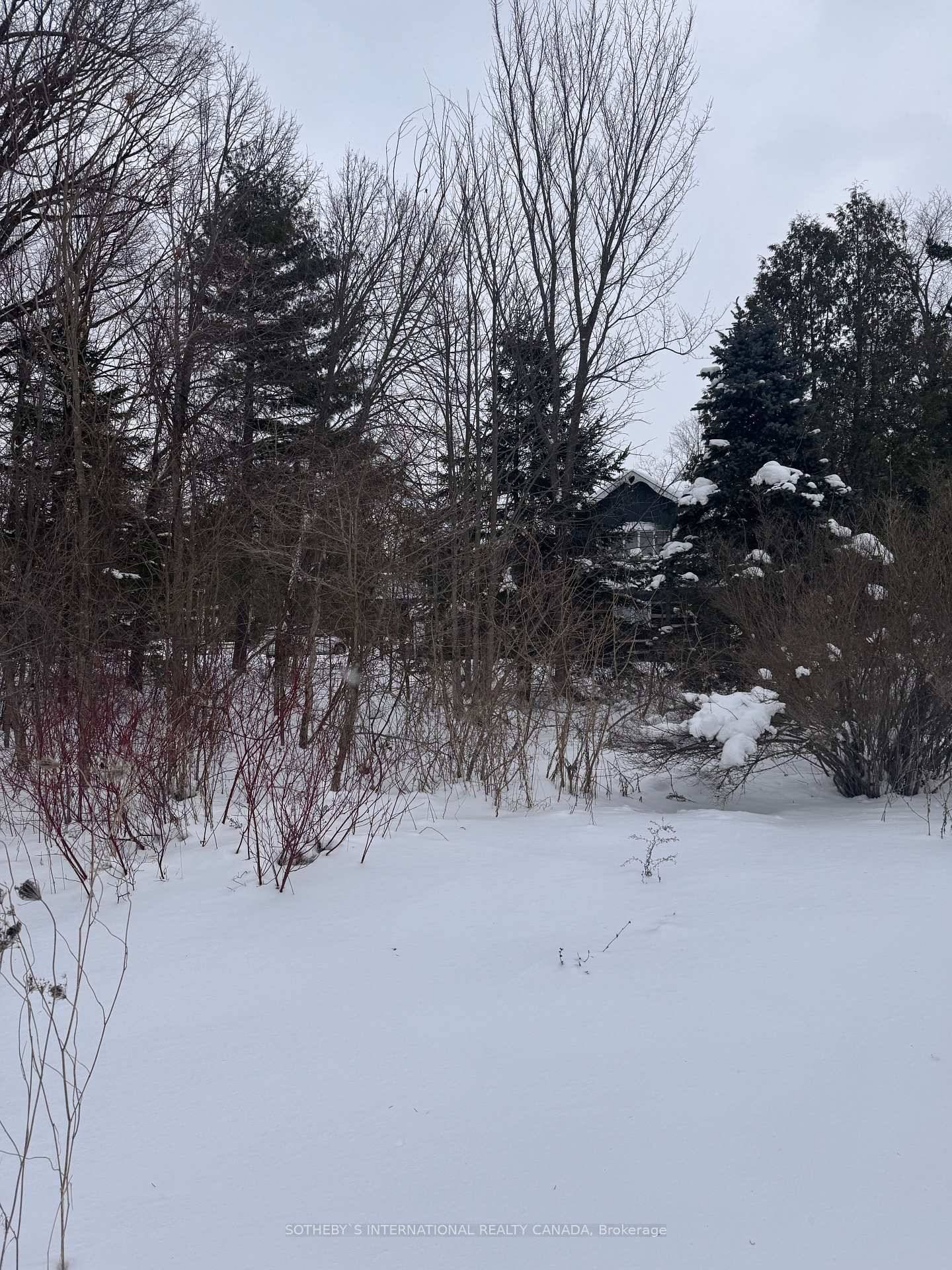 Nestled in the heart of Pine River Valley Estates, this premier ski in, ski out lot offers an unparalleled opportunity to craft your dream home in a breathtaking natural setting.