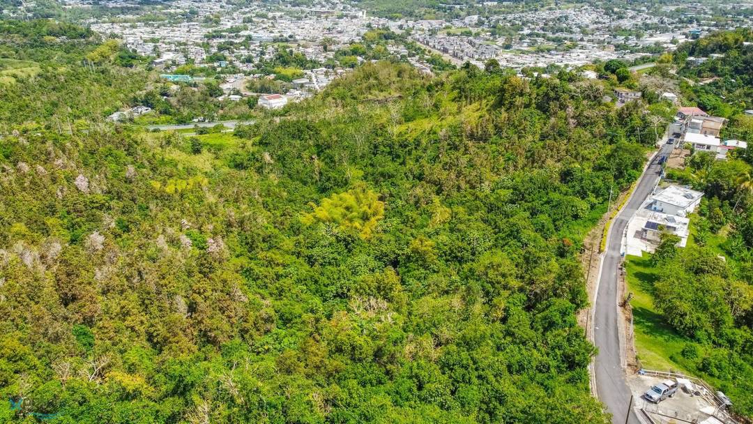 CALLE GORRITO Land Cayey