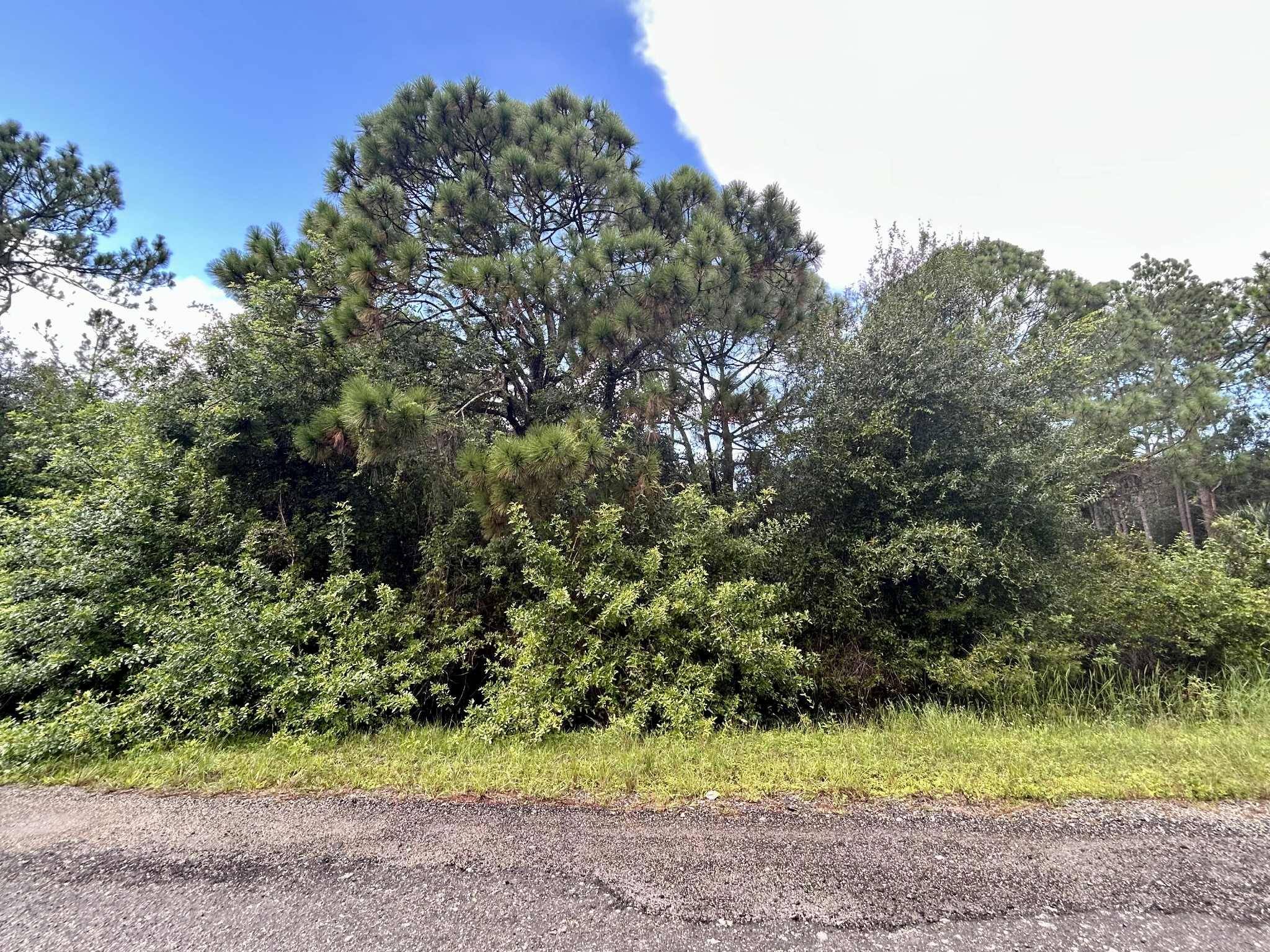 Build your dream home on this 1.