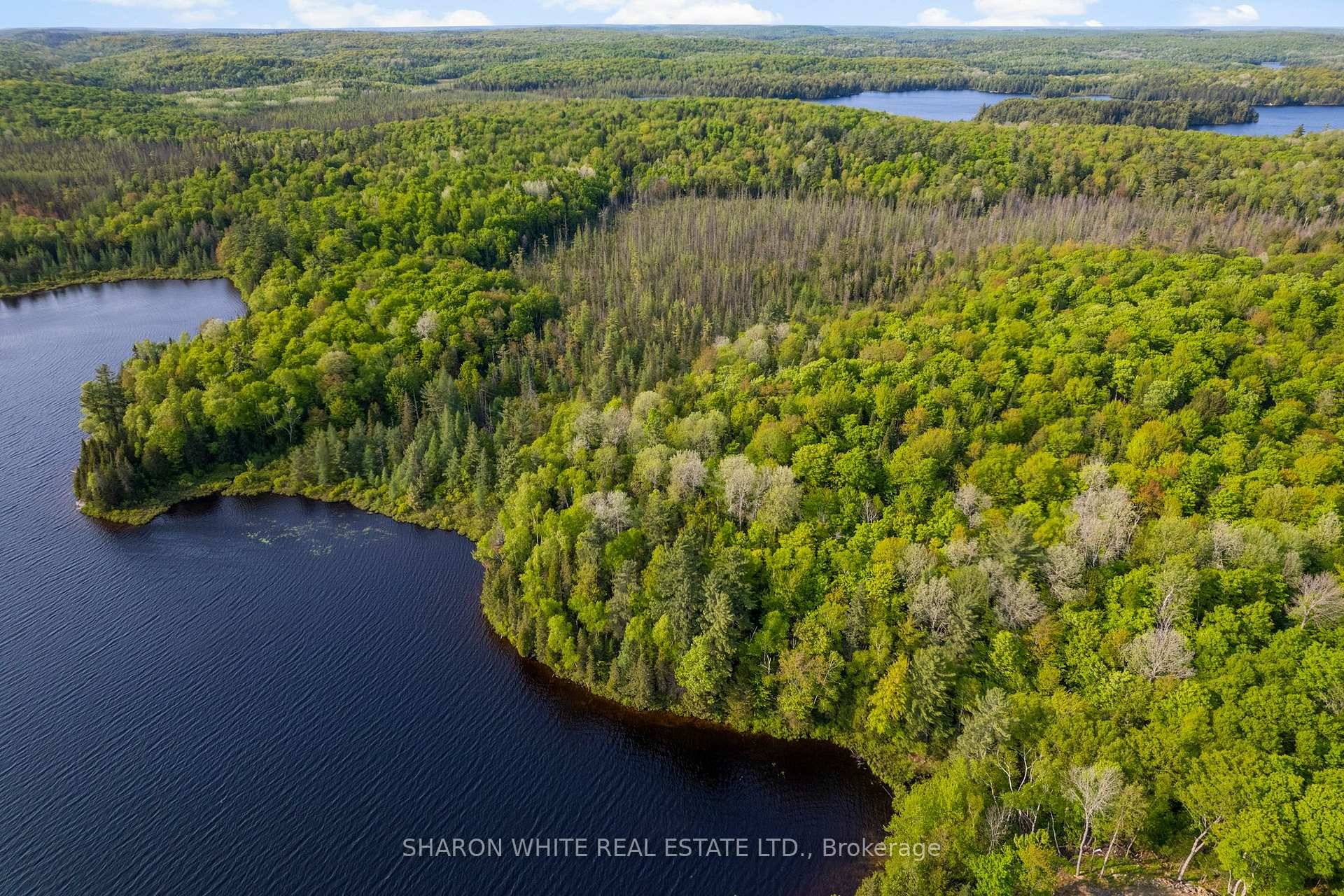 Beautiful Vacant 730' frontage, 2 acre Waterfront Lot located on Colbourne Lake with private seasonal road access via Chelmford Drive just minutes from Highway 118.