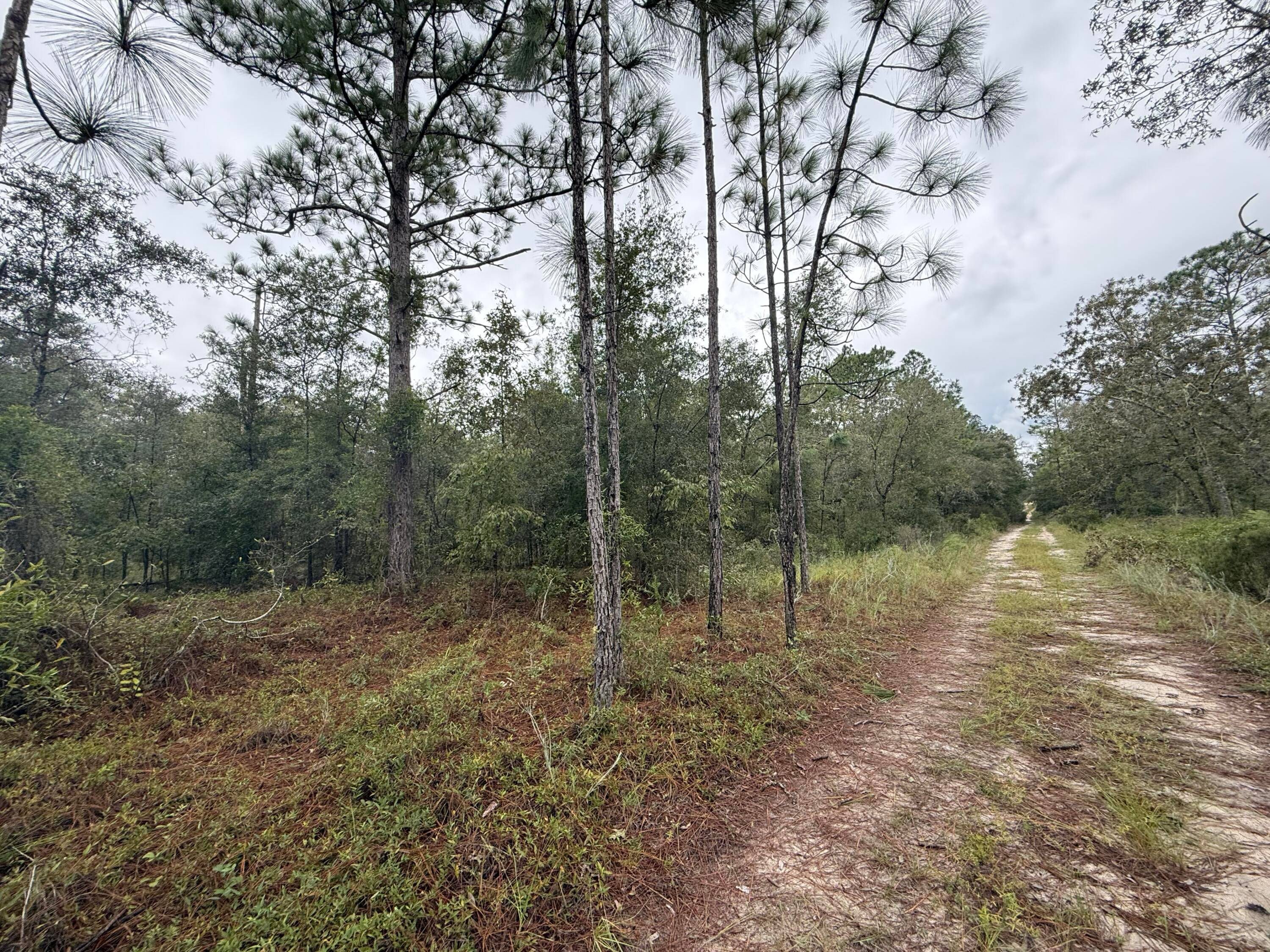 Fantastic opportunity to invest in your future build your single family home, modular home or have a mobile home in this 1.