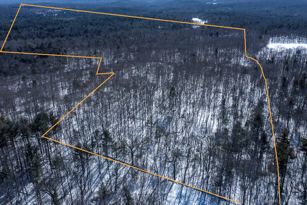 Tranquil 153 Acre Parcel Abutting Natchaug Yale Forests A Rare Opportunity in Nature's Embrace Discover a breathtaking 153 acre parcel of unspoiled land offering unmatched peace, privacy, and natural beauty.