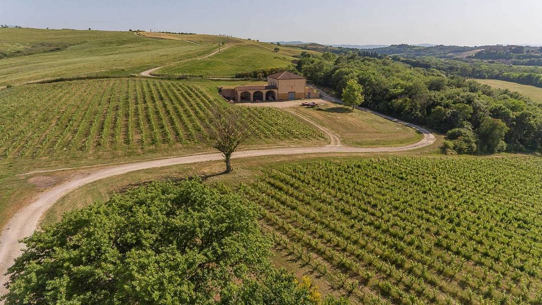 Winery in Montalcino for sale with agriturismo 5 bedrooms, pool, garden. Winery with farm located in one of the most beautiful scenery of Tuscany