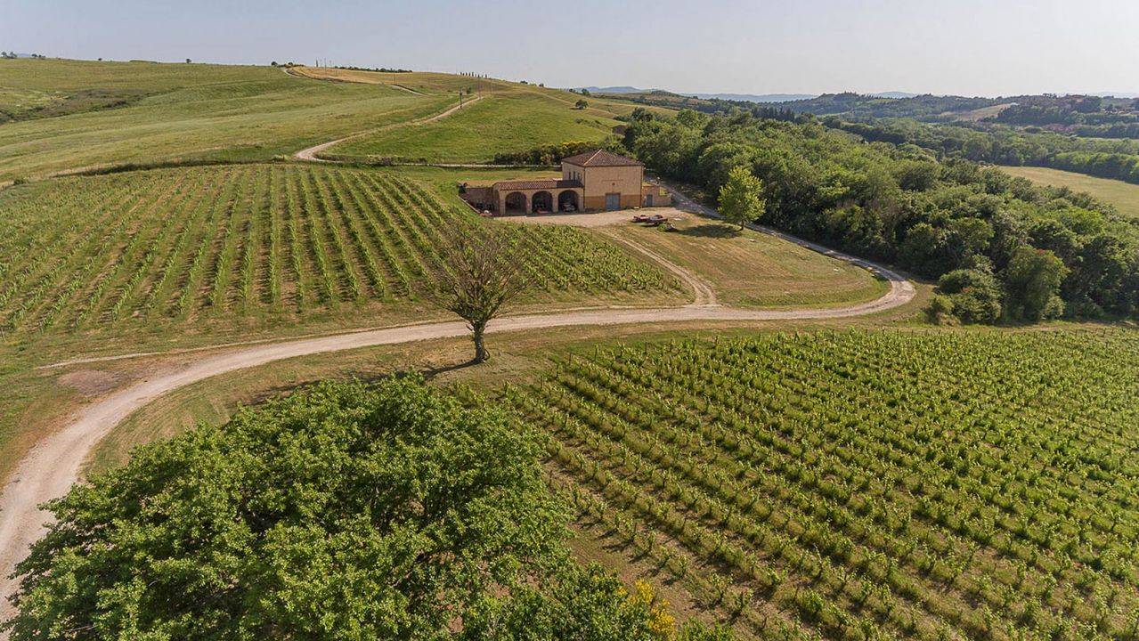 Winery in Montalcino for sale with agriturismo 5 bedrooms, pool, garden. Winery with farm located in one of the most beautiful scenery of Tuscany