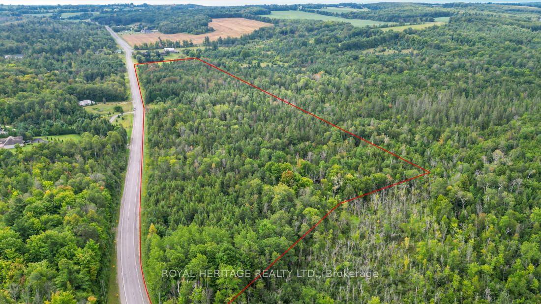 Looking for over 28 acres in Northumberland County with over 2000 feet of frontage on County Road 25 ?
