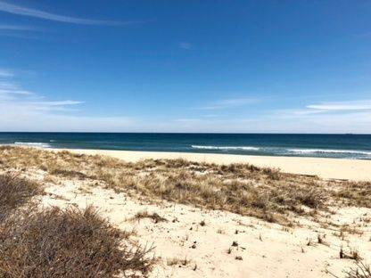 The Tranquility and Excitement of Living on the Atlantic Ocean!