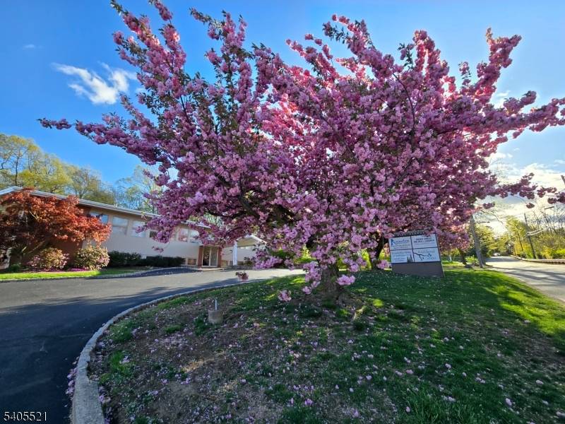 Rare chance to own a signature commercial asset in Kinnelon's exclusive business district.