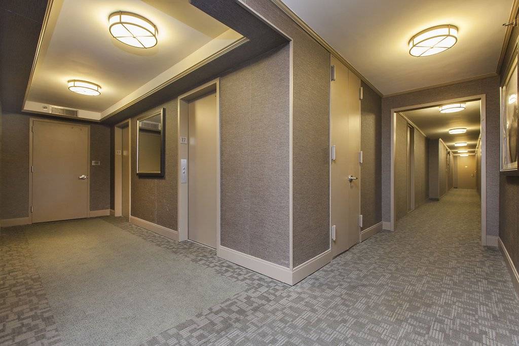 Newly gut renovated 2 BR 1.