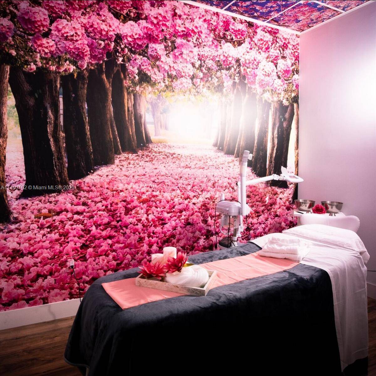 Now you can Own this beautiful Spa inside the International Mall, this is a premium location with plenty of parking and security in the heart of DORAL.