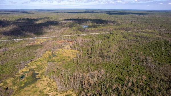 EXCELLENT OPPORTUNITY TO OWN 156 ACRES OF LAND IN TAYLOR COUNTY, FL.