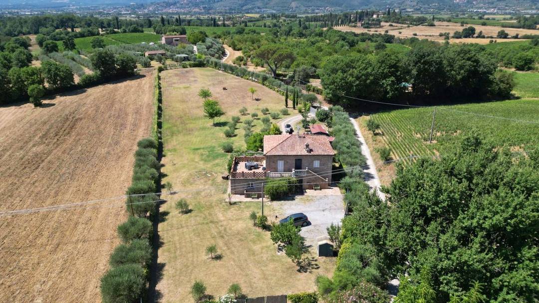 Renovated luxury villa with garden and small olive grove for sale in the Tuscan countryside, in Lucignano, in the province of Arezzo.