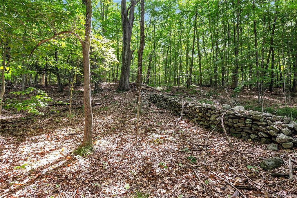 ENGINEERING and DRIVEWAY APPROVED !