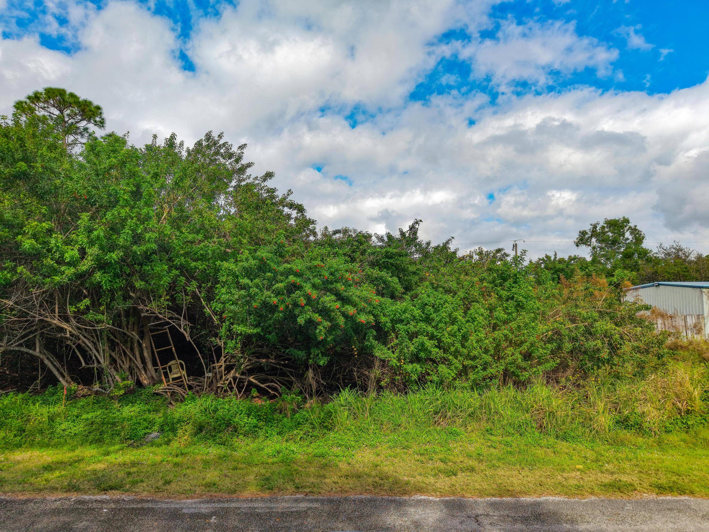 A residential lot for sale in the sought out Lakewood Park Community close to local shopping, restaurants and banks.