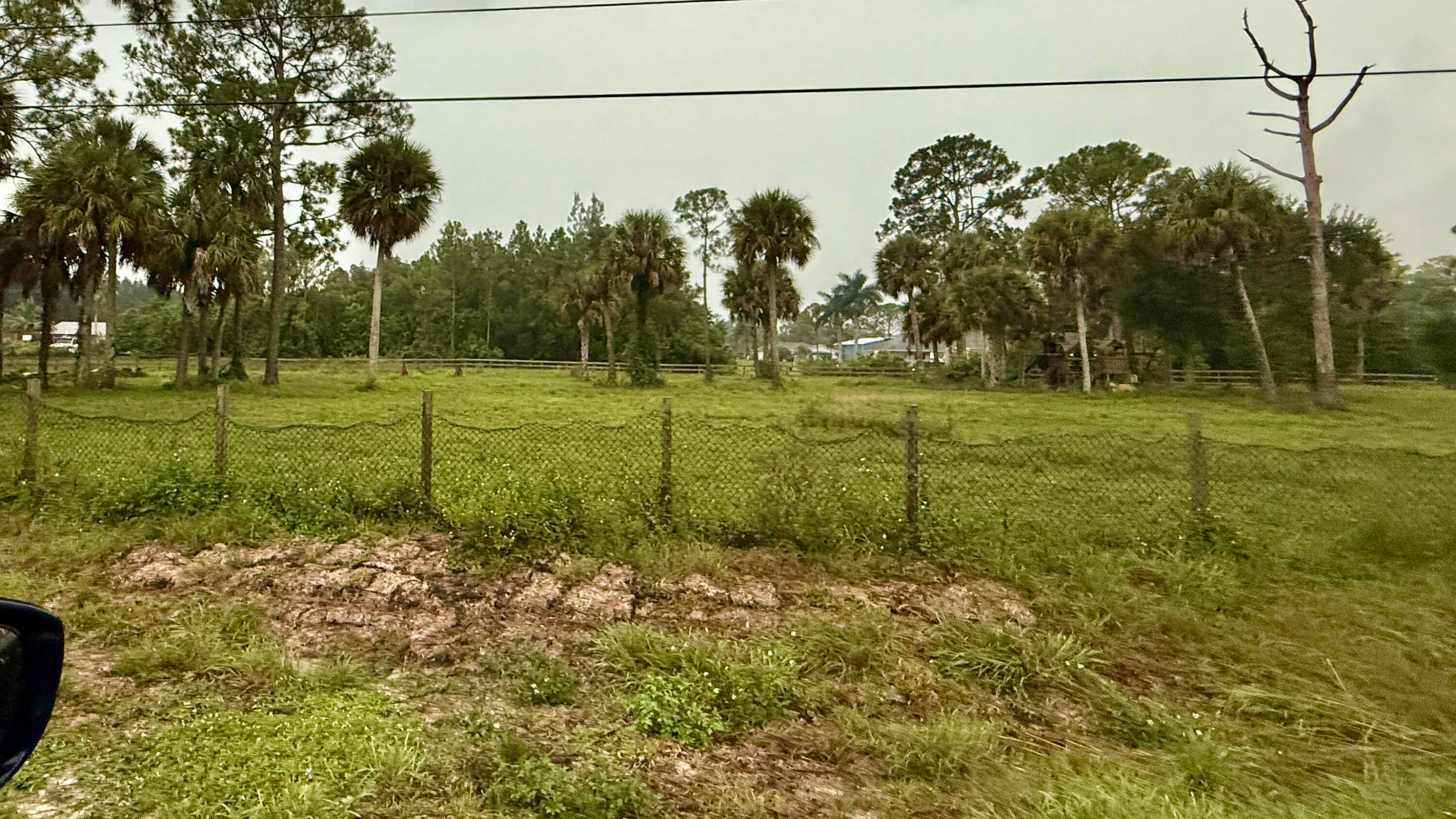 This 1. 7 acre parcel, Tract P 31 in unincorporated Palm Beach County, is just 4 parcels in from Seminole Pratt Whitney Rd and across from the Corbett Wildlife Management ...