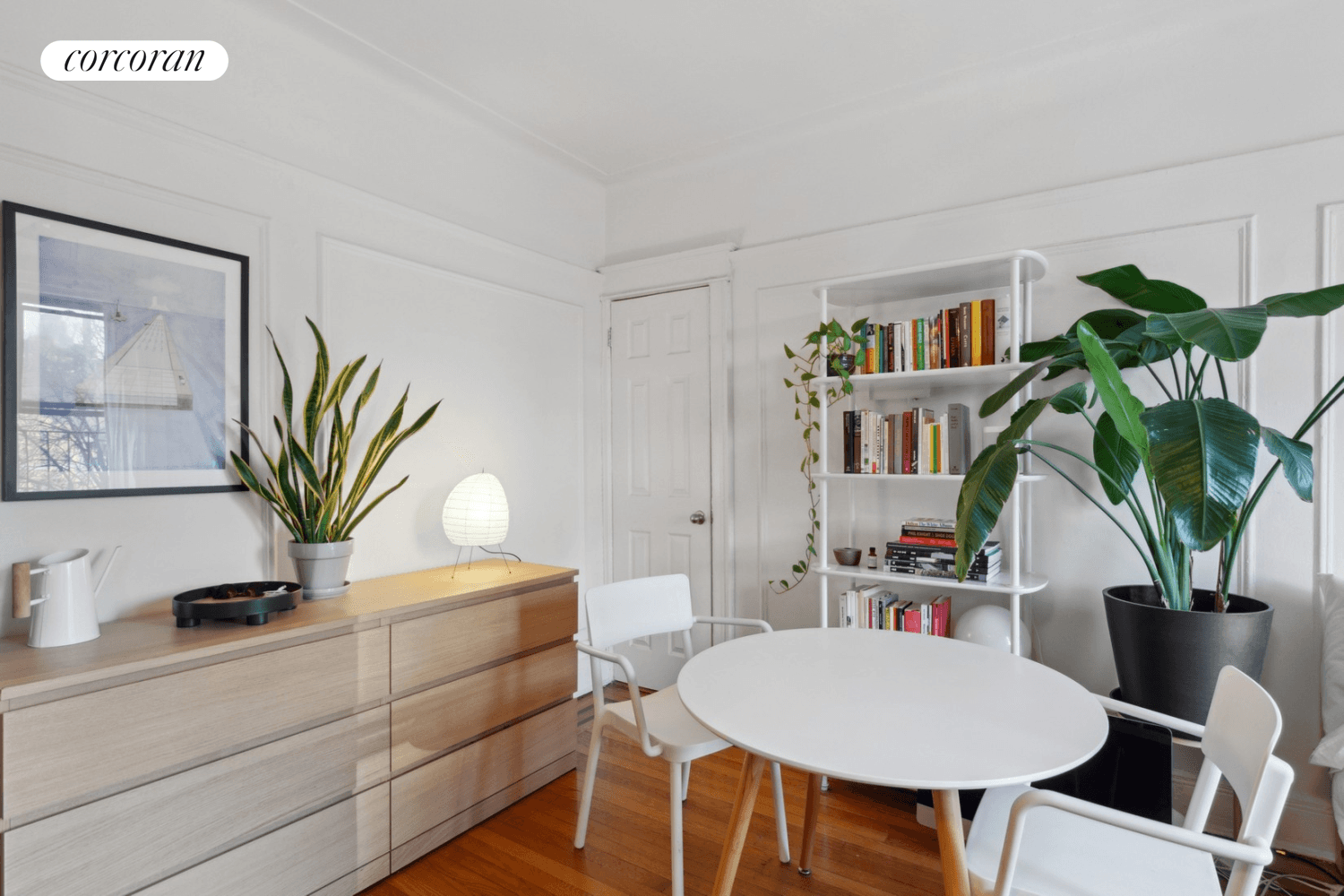 Why is everyone at 49 Willow Street so happy ?