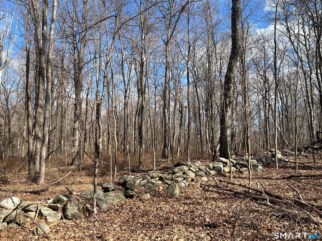 Tucked along one of Kent's most admired country roads, this rare 40 acre offering presents an exceptional opportunity to create a private retreat in one of Litchfield County's most prestigious ...