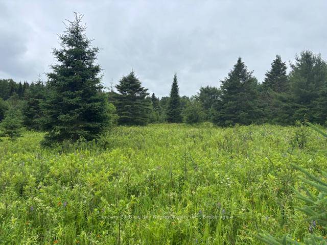 7 acre building lot in Bonfield, approximately 20 minutes from North Bay.