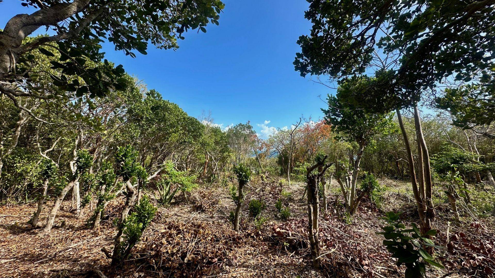8 WANDERING SHORE Land Eleuthera