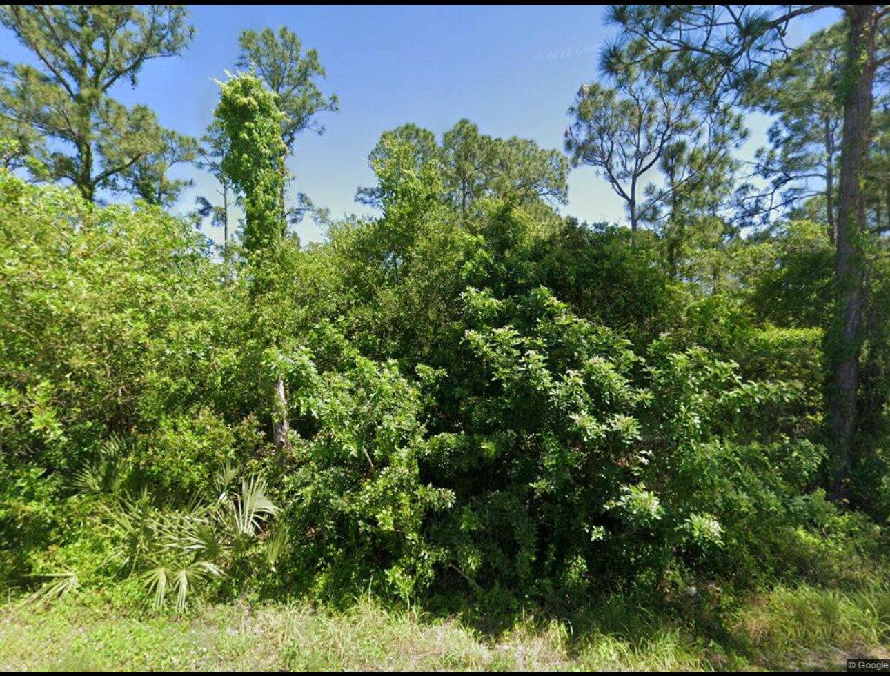 111 Suwannee Lane Land Palm Beach