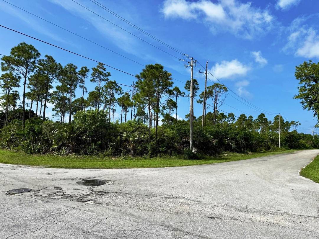 BAHAMIA NORTH, LOT 1 Land Grand-Bahama-Freeport