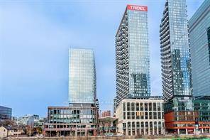 Tridel At The Well, One Of The Largest Mixed Use Community In The Heart Of Downtown Toronto.