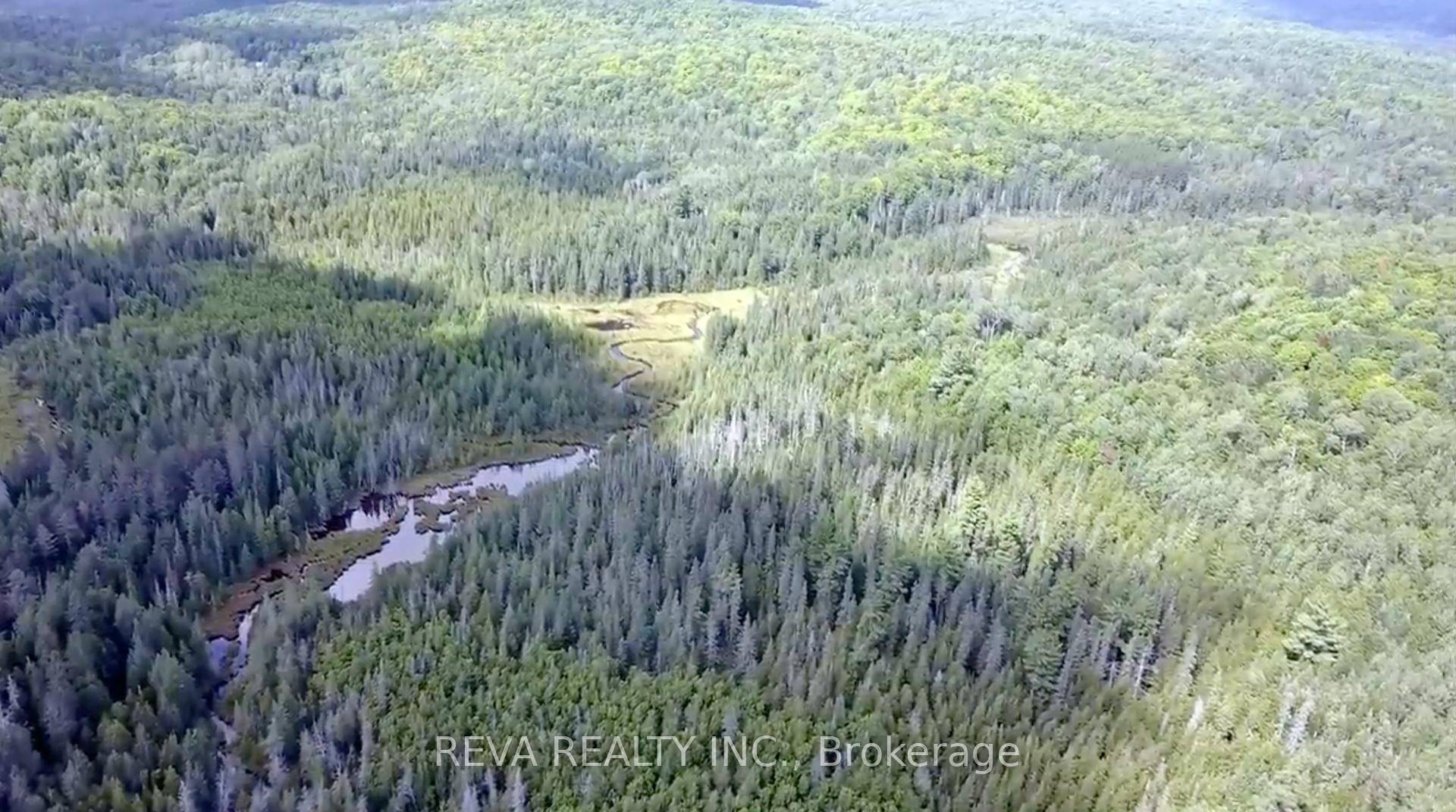 Looking for a Homestead property where you could reclaim some former farmland, cut your own firewood and timber, keep some livestock, tap some maple trees, fish from the creek, hunt ...