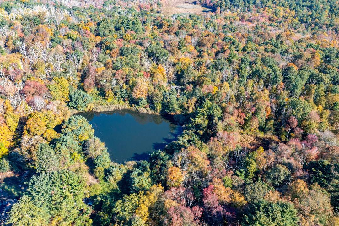 Discover the perfect escape in this stunning 81 acre parcel located in the serene and sought after area of Pomfret.