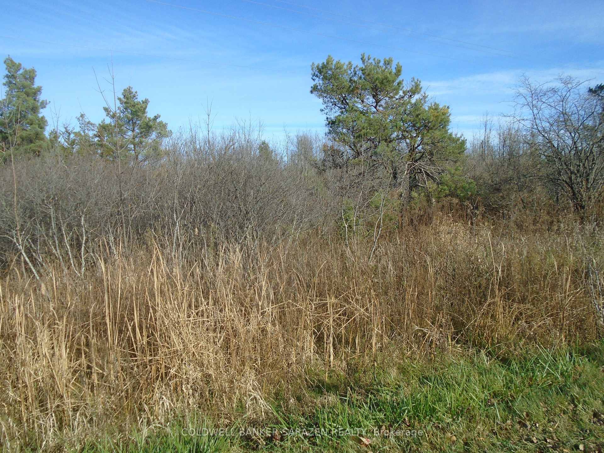 APPROXIMATELY 20 ACRES OF VACANT LANDS ZONED RURAL RESIDENTIAL TO BE SEVERED FROM A 36 ACRE PARCEL.