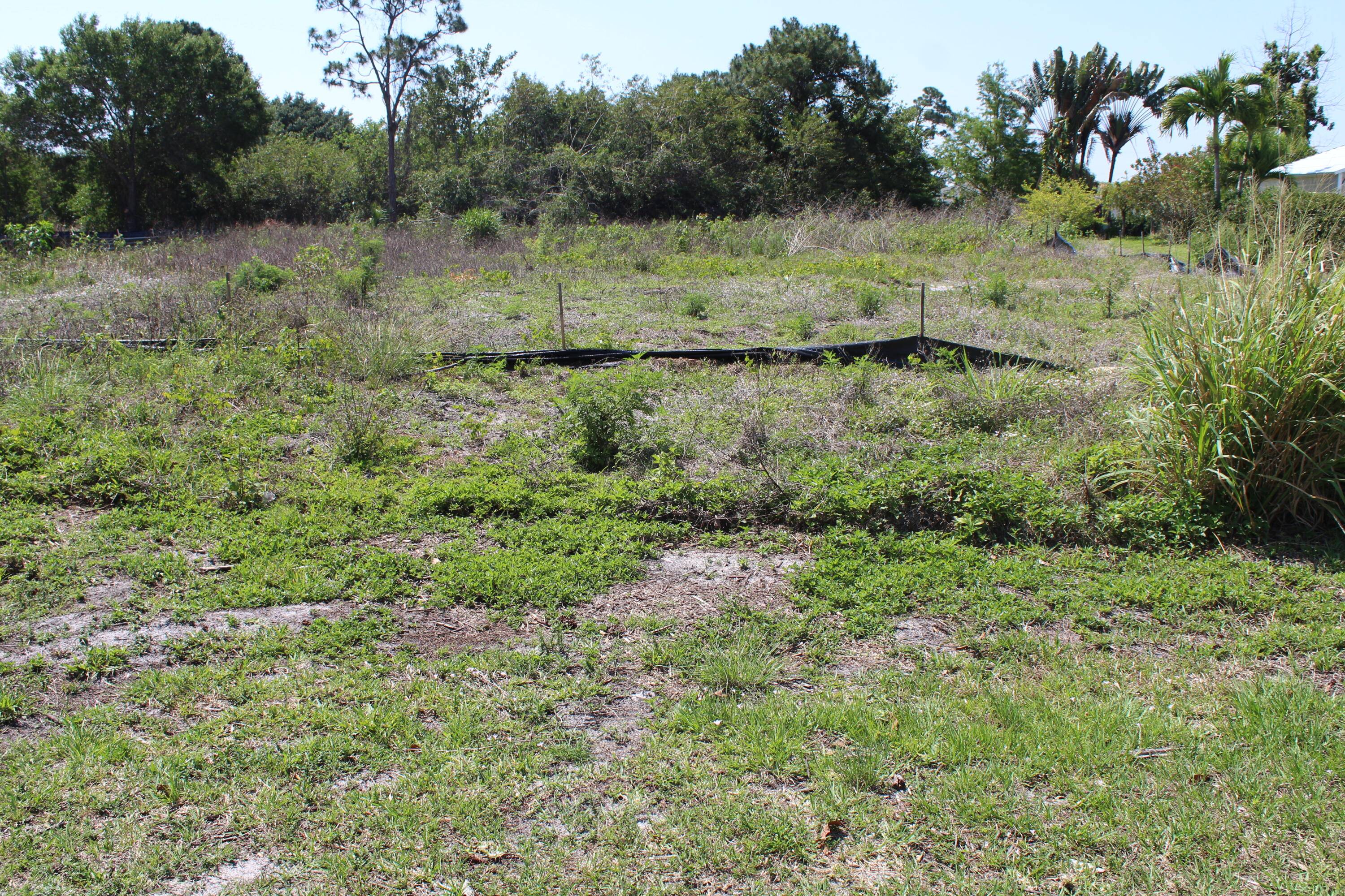 Cleared Half Acre Lot approx.