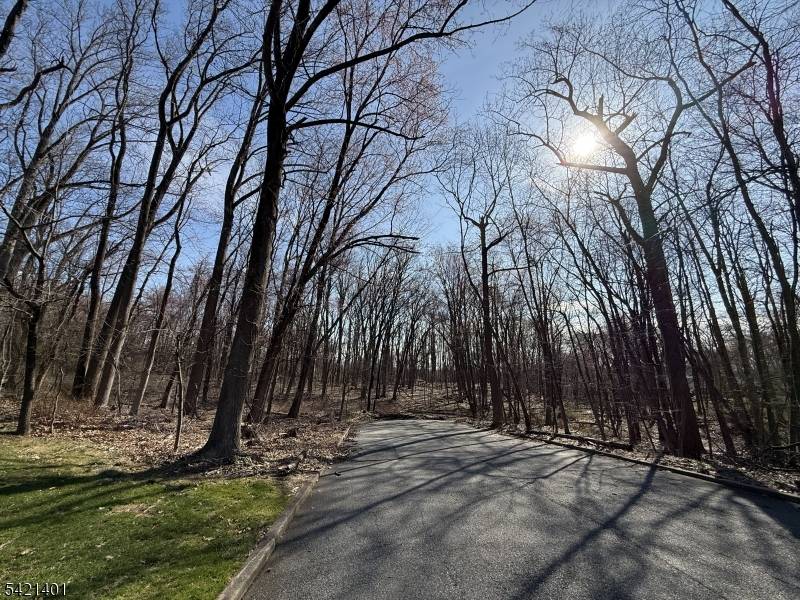 Experience the rarest of opportunities to create a legacy estate in one of Woodcliff Lake's most premier neighborhoods.