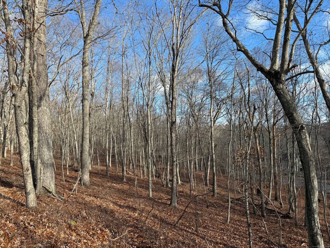 61. 64 Acres of beautiful raw land located on Rt 161 and nestled between Walnut Hill and Cardinal Drive is offered for the first time.