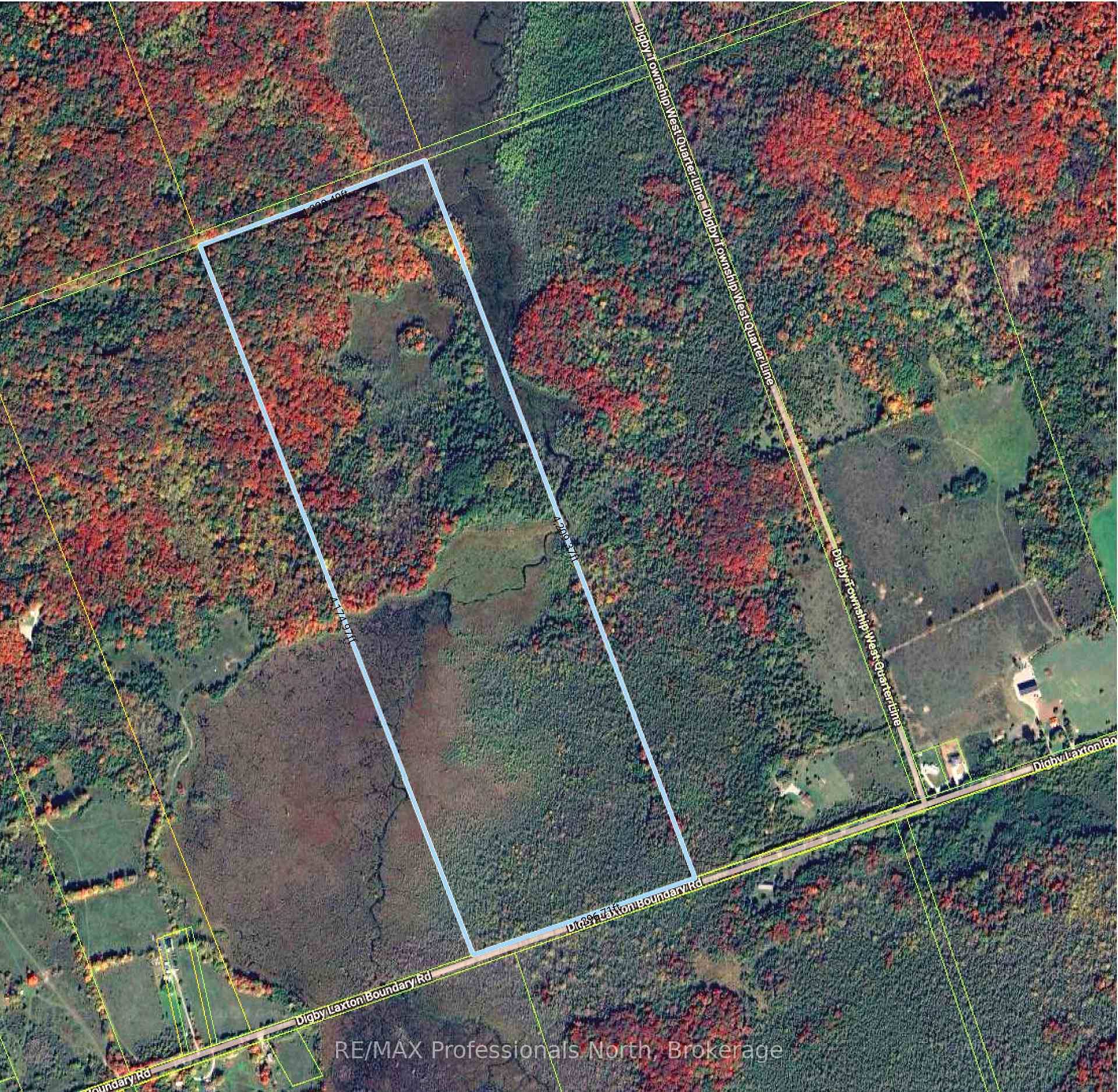 126 Acres of Good High Hardwood Forest as noted on the survey sketch.