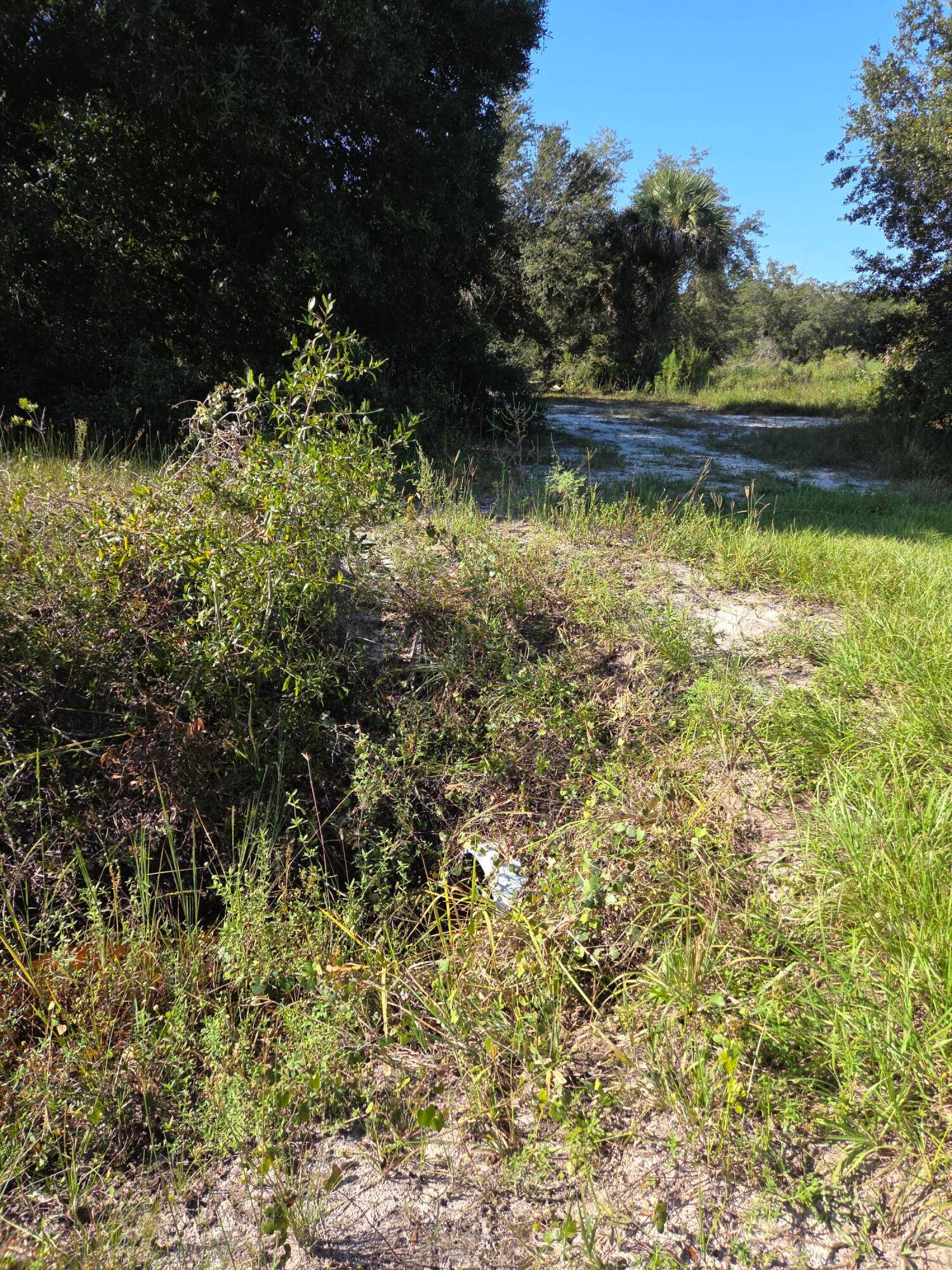 Viking Prairie 2. 5 acres 2 adjacent lots.