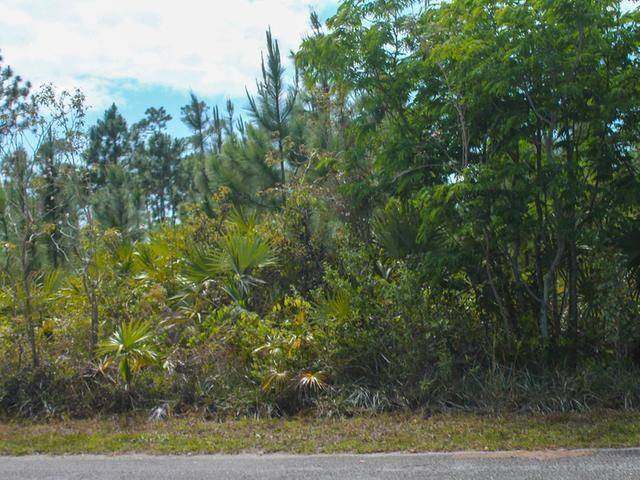 12 EDGEWARE STREET Land Grand-Bahama-Freeport
