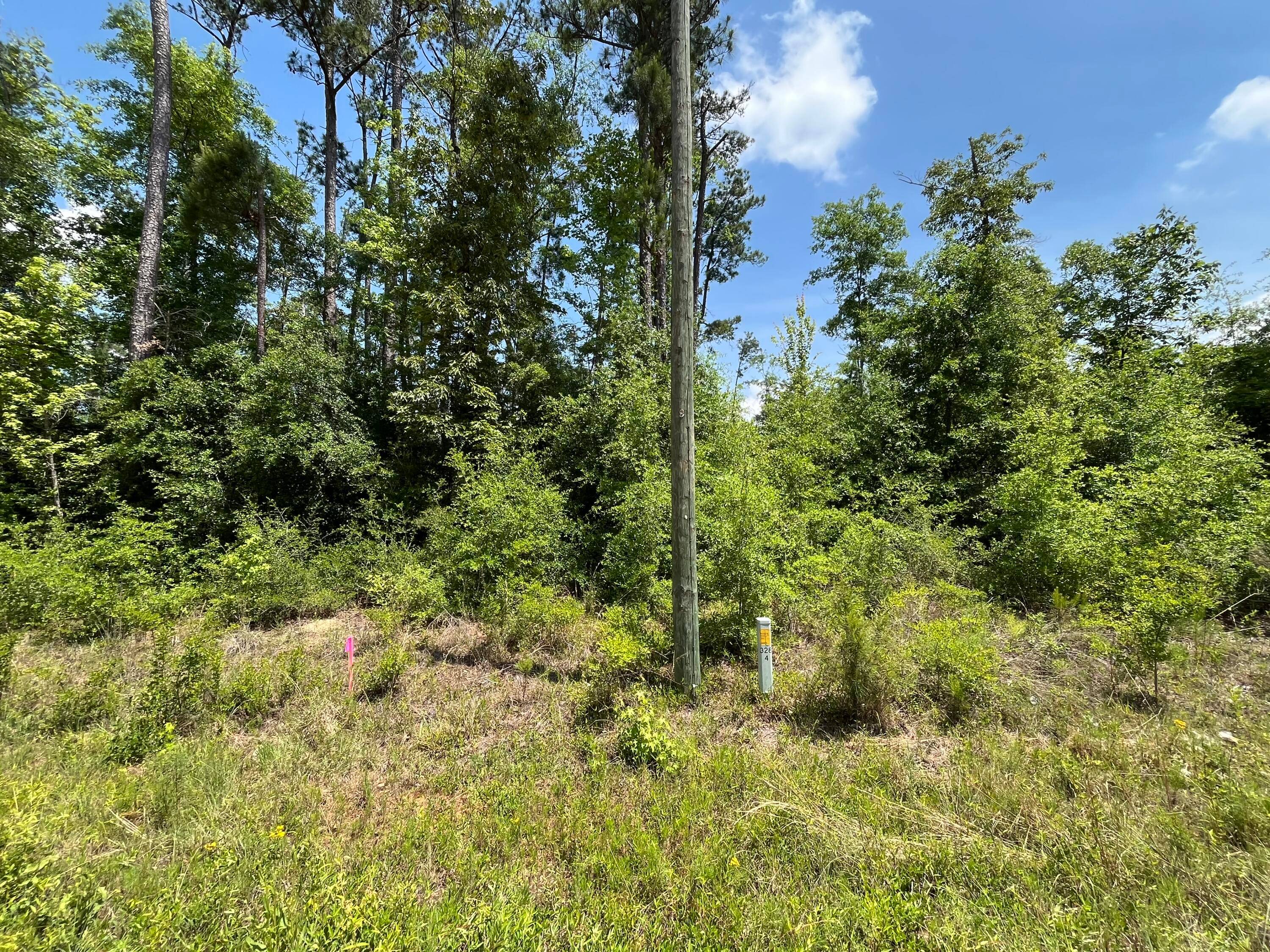Don't miss out on this wooded 1.