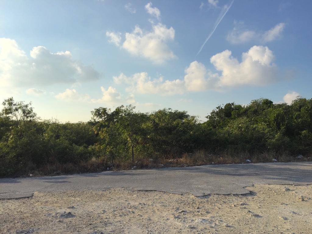 CARTWRIGHTS LOT Land Long-Island-Bahamas