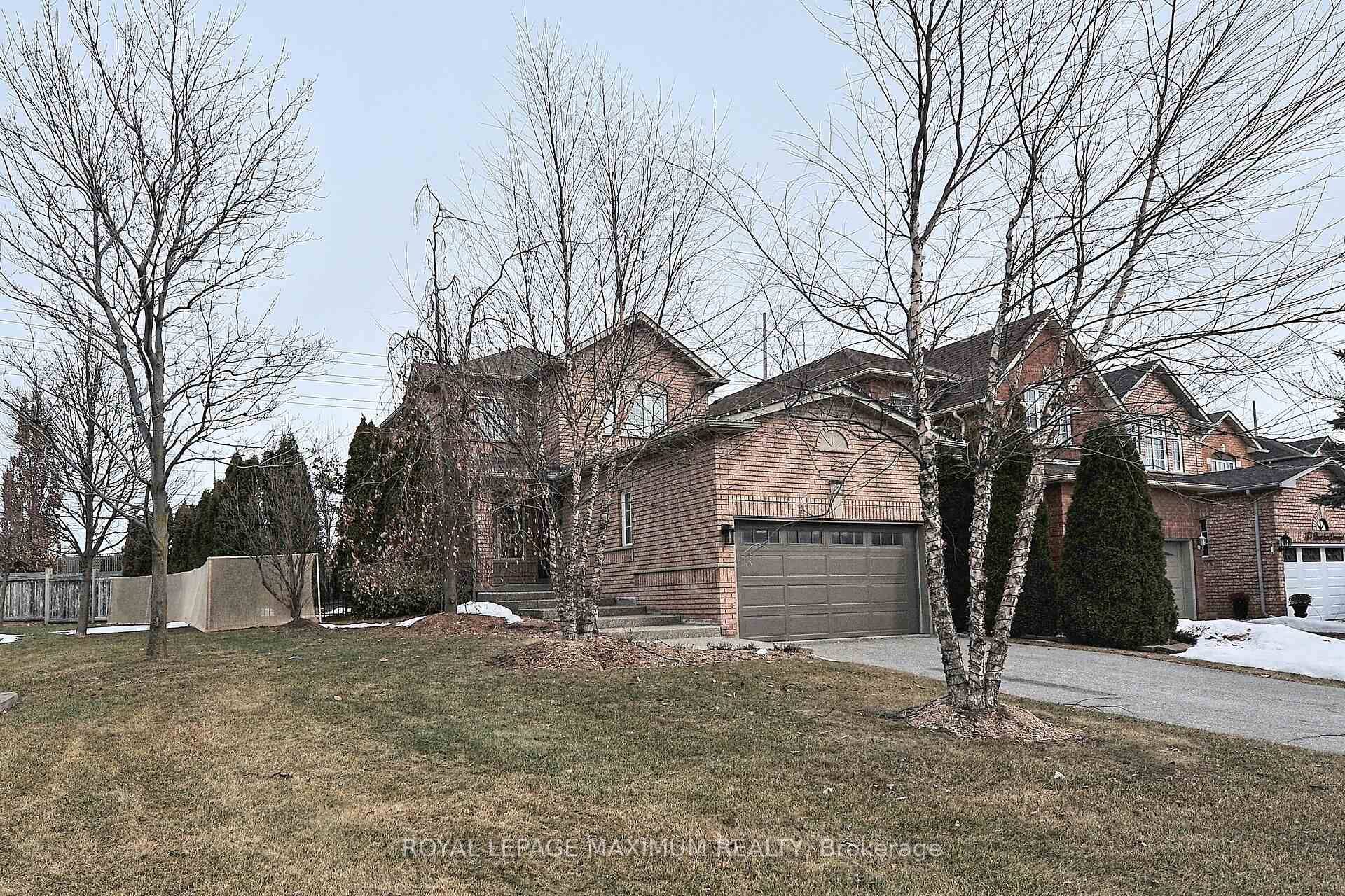 CHECK OUT THIS BEAUTIFUL MAPLE GEM !