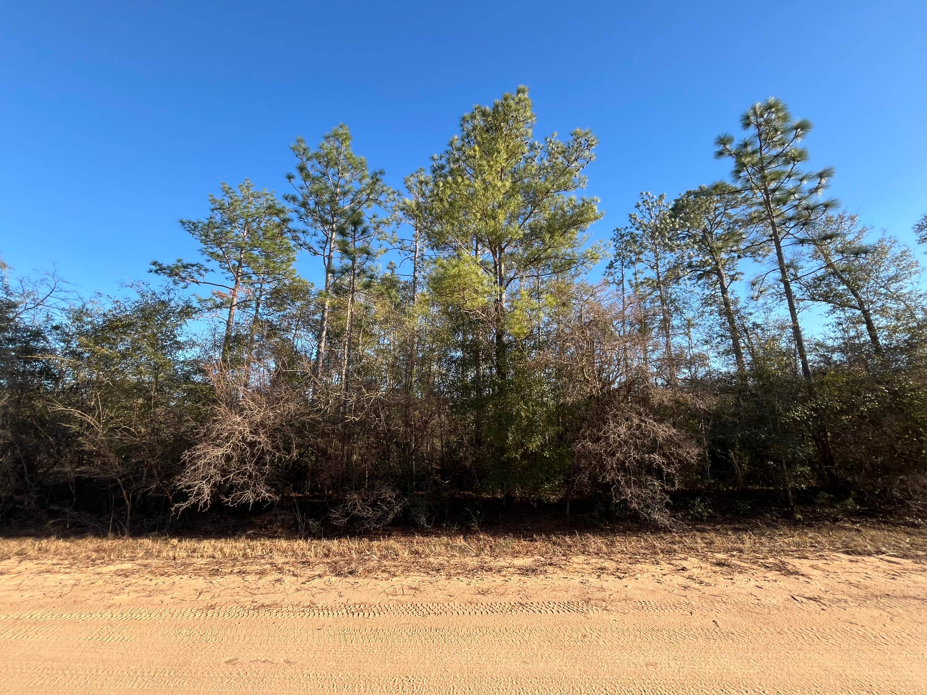 Don't miss out on this wooded 1 acre residential lot in Compass Lake in the Hills just outside of Marianna, FL.
