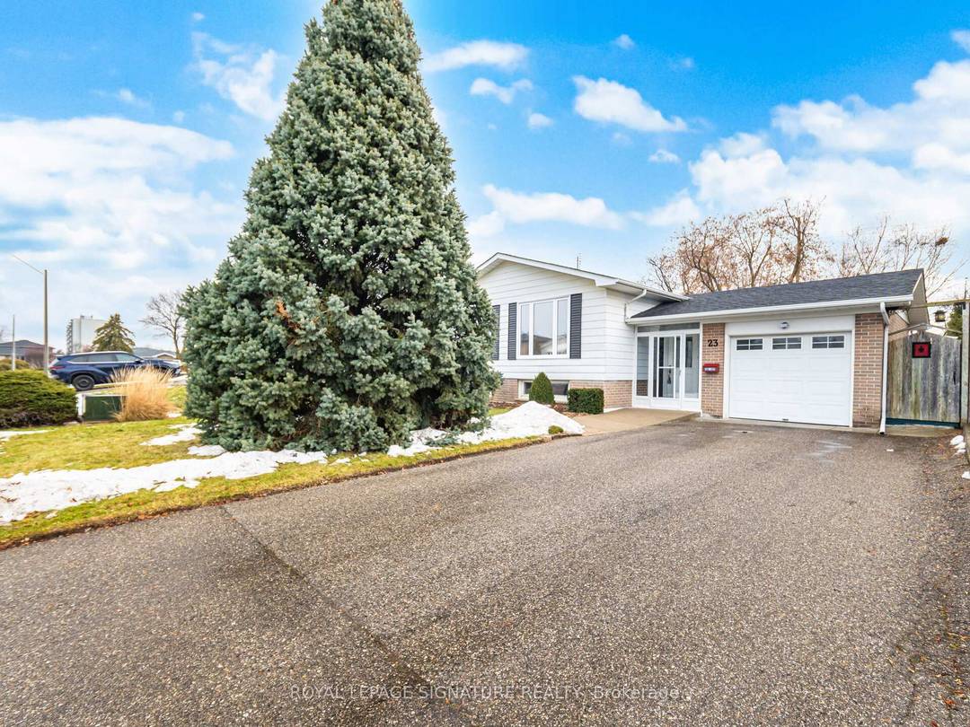 Large 3 1 bedroom available in great Brampton neighbourhood.