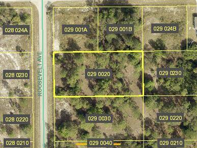 Location, Location, Location, beautiful half acre located in one of the best areas of Lehigh Acres, come and build your home in this up and coming City, 1 2 acre ...